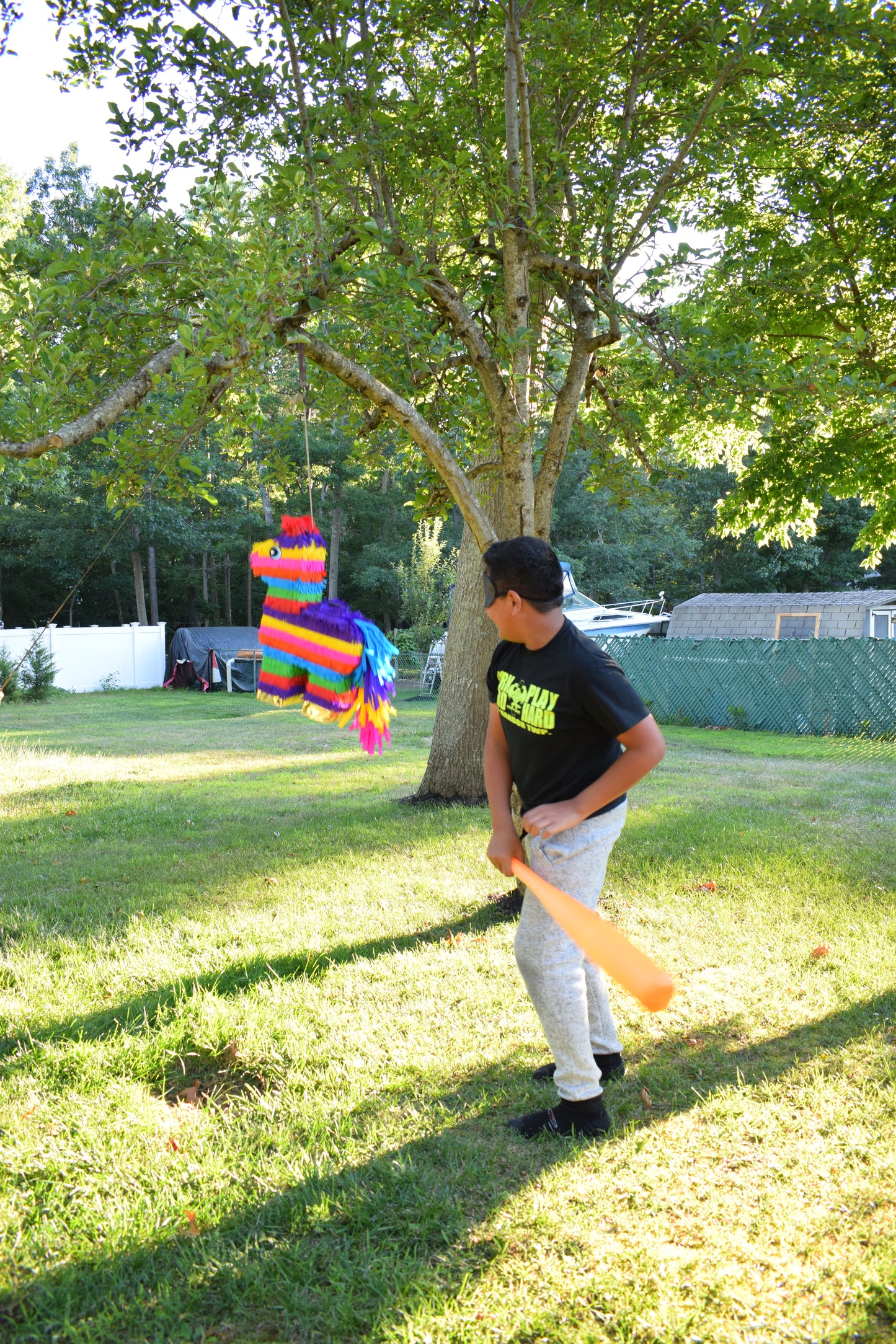 Bunte Esel Piñata image 3