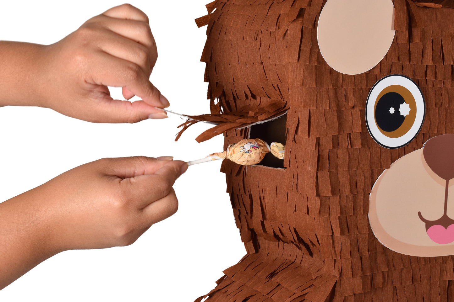 Bär Piñata image 4