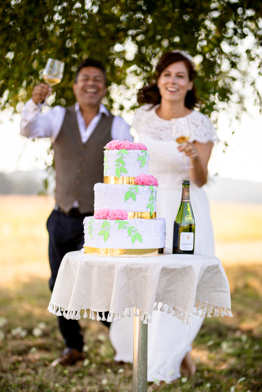 Wedding Cake-Piñata "Rosé" image 0