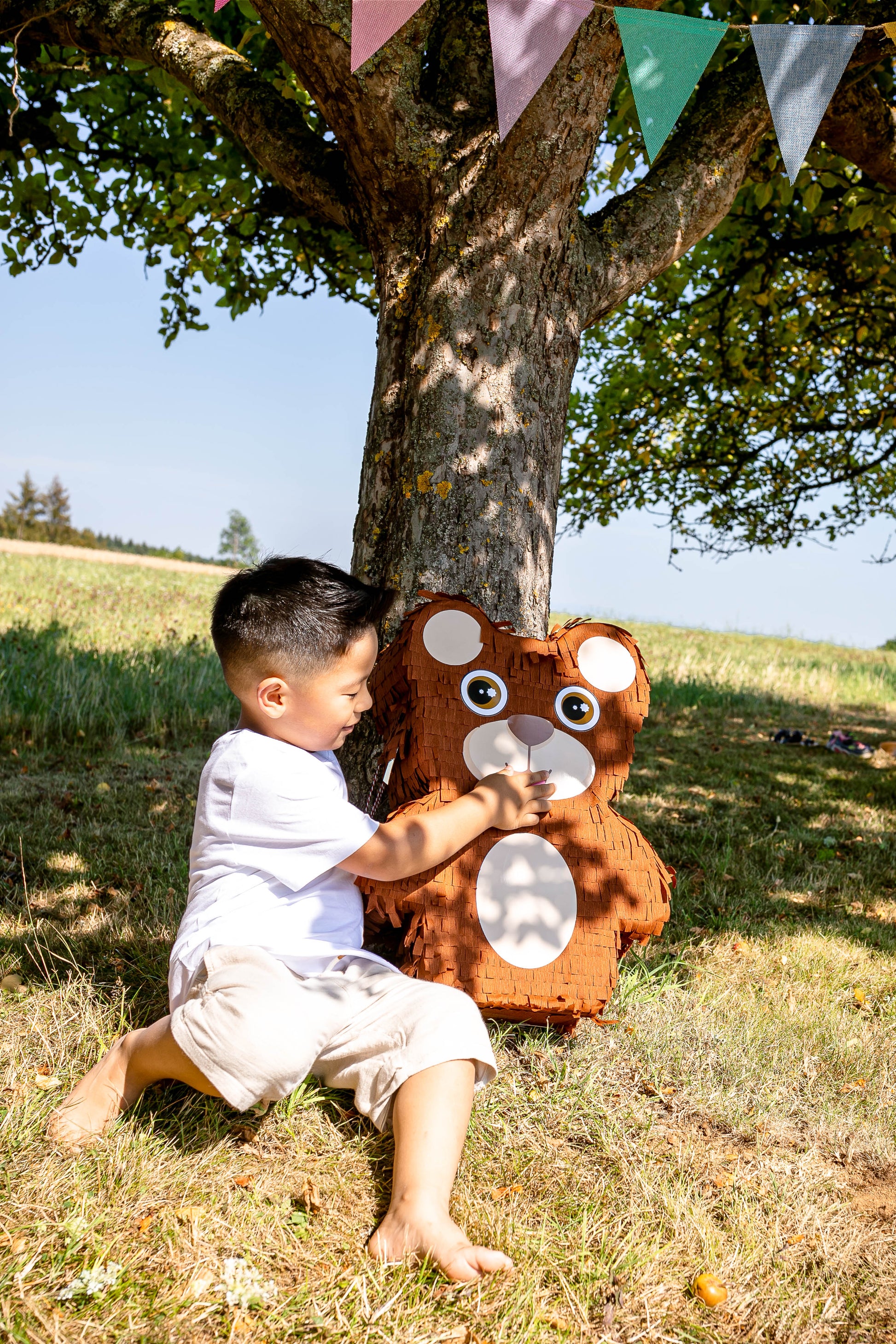 Bär Piñata image 5