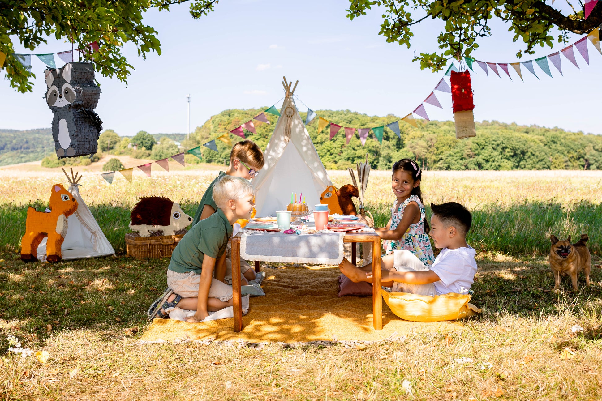 Waschbär Piñata image 3