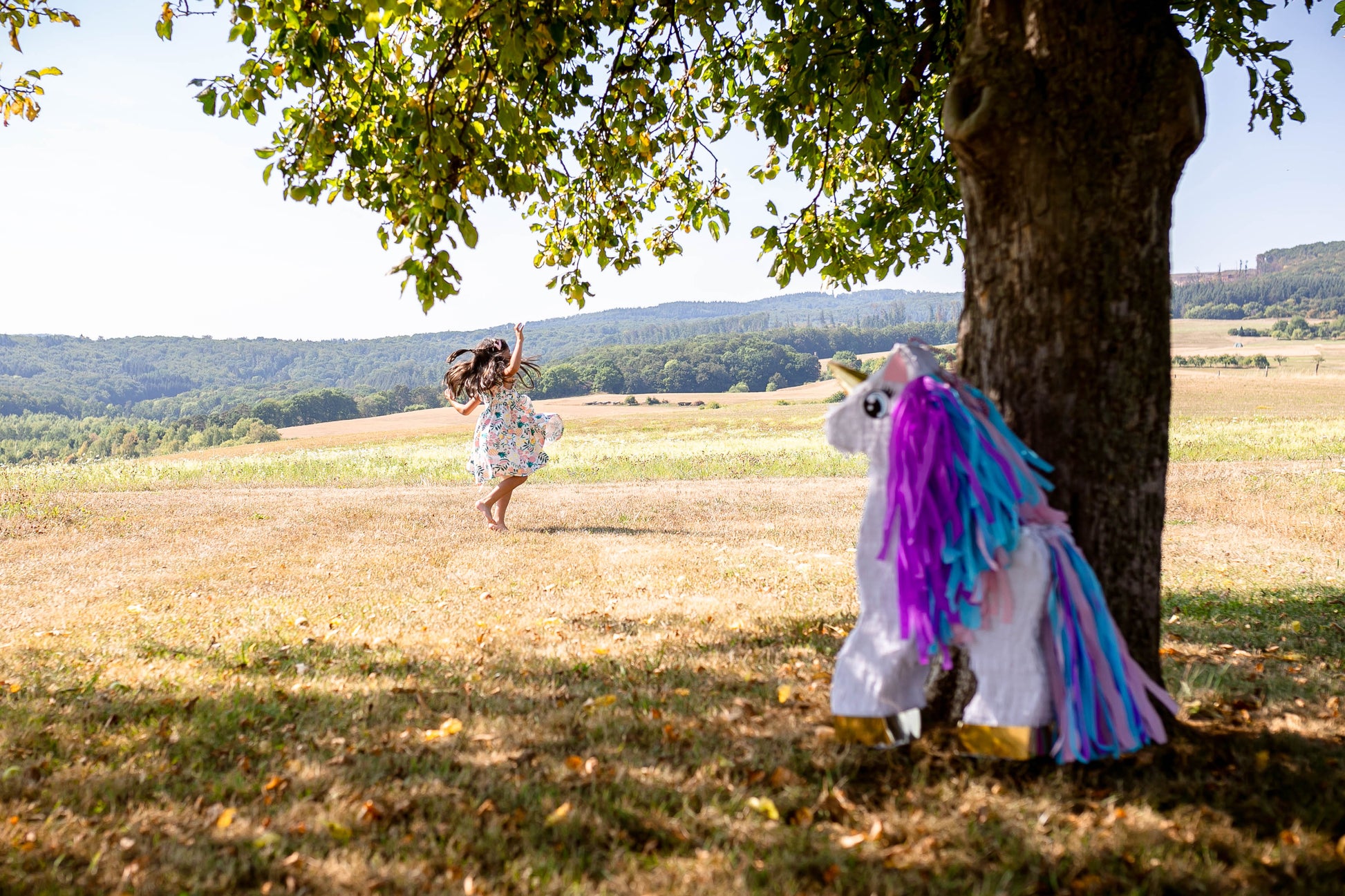 Einhorn Piñata image 6